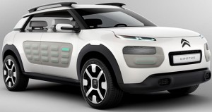 citroen cactus 344